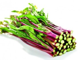 【红菜苔】红菜苔的功效作用，红菜苔的种植方法